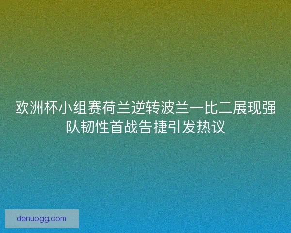 欧洲杯小组赛荷兰逆转波兰一比二展现强队韧性首战告捷引发热议
